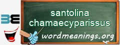 WordMeaning blackboard for santolina chamaecyparissus